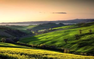 Colline Marchigiane